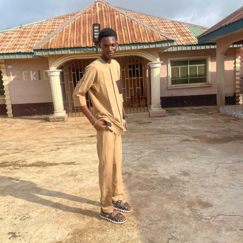 Oluwadamilola S. profile photo