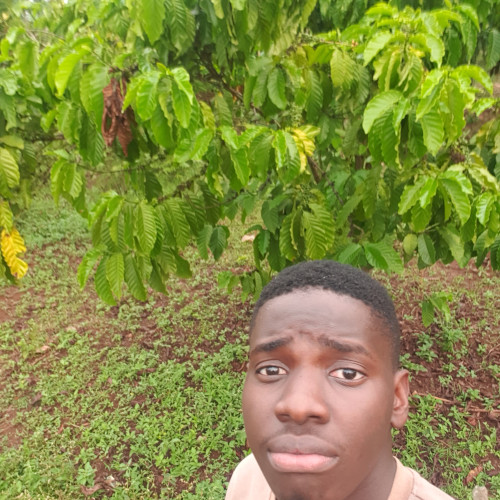 Collins l. profile photo