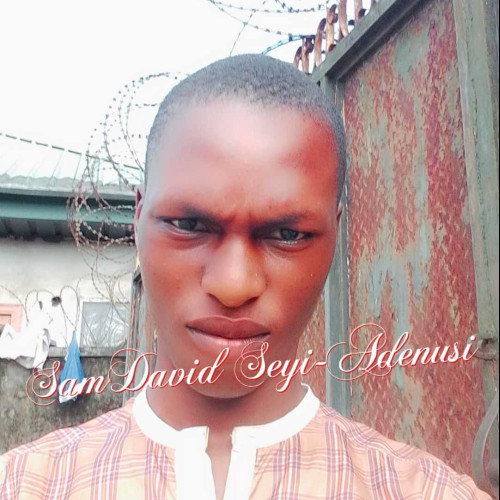 Samdavid seyiadenusi o. profile photo
