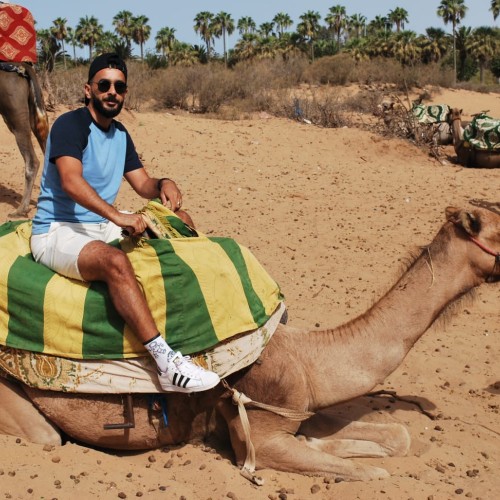 saad m. profile photo