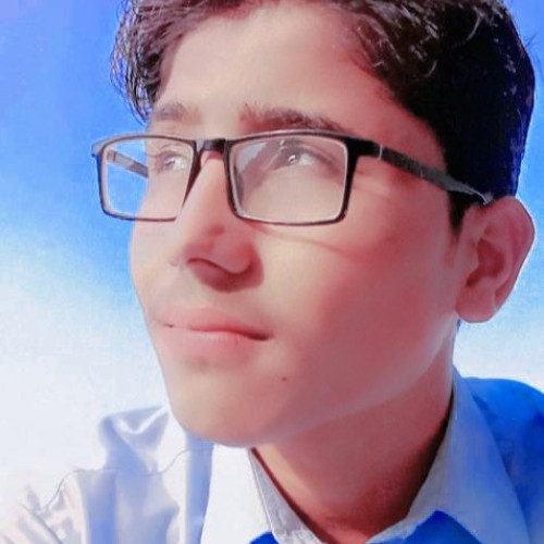 Muhammad Anees U.