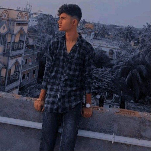 Fardin K.