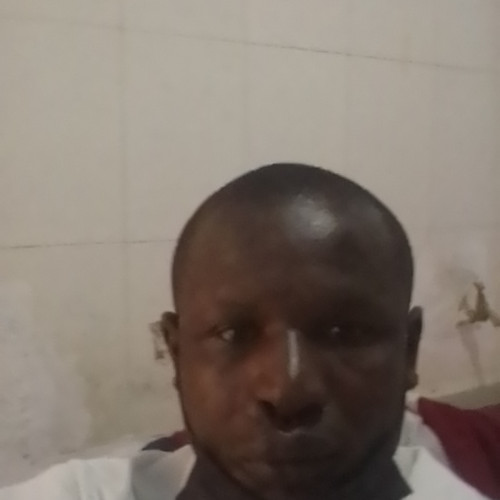 Daniel n. profile photo