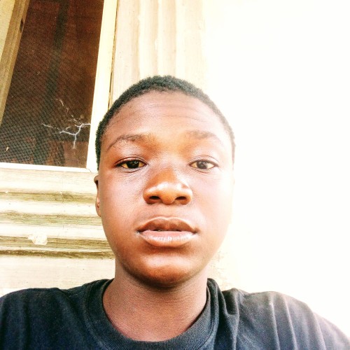 Kasho  Z. profile photo