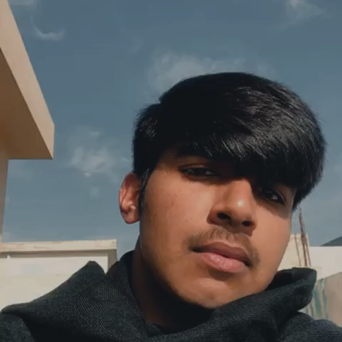 Zayn M. profile photo