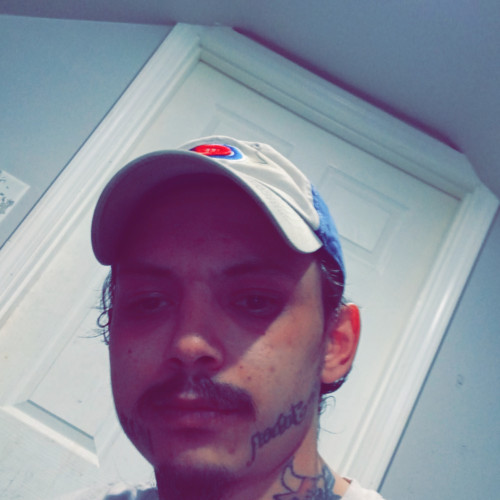 Brandon n. profile photo