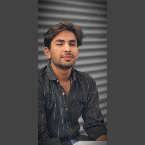 Alok N.