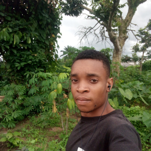 David I. profile photo