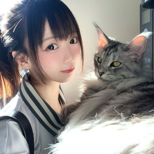 Saiyu M. profile photo