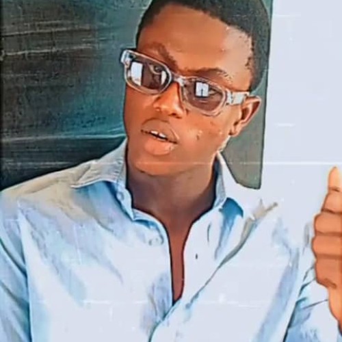 Cheikh  D. profile photo