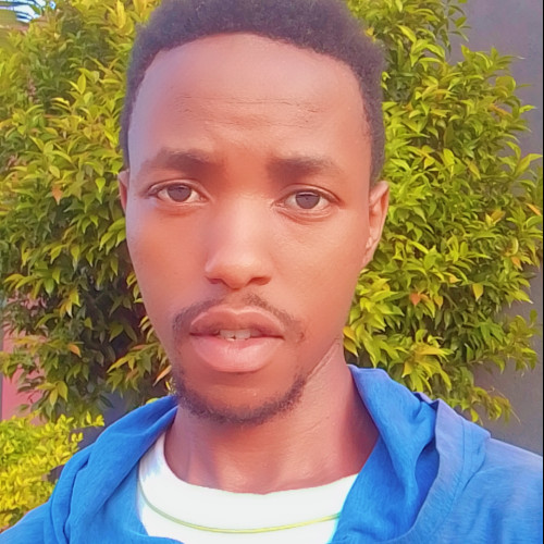 Moses N. profile photo