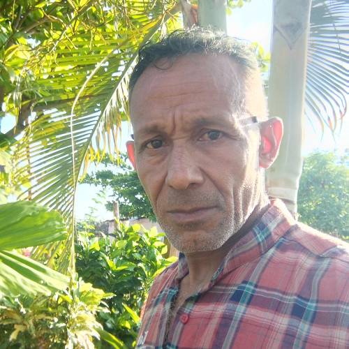 Alex  P. profile photo
