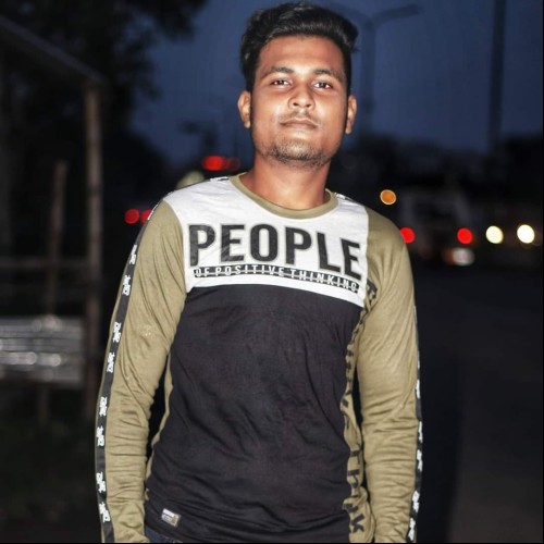 Subhankar R.