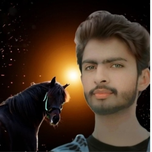 Syed W.