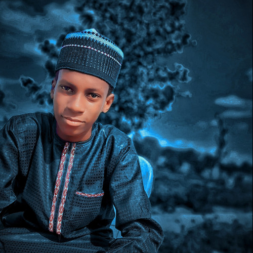 Attahiru A. profile photo