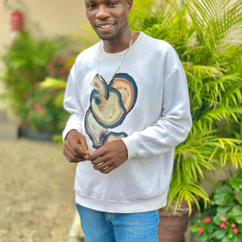 Uche  N. profile photo