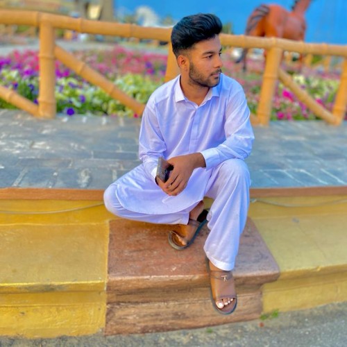 Syedwasishah S.