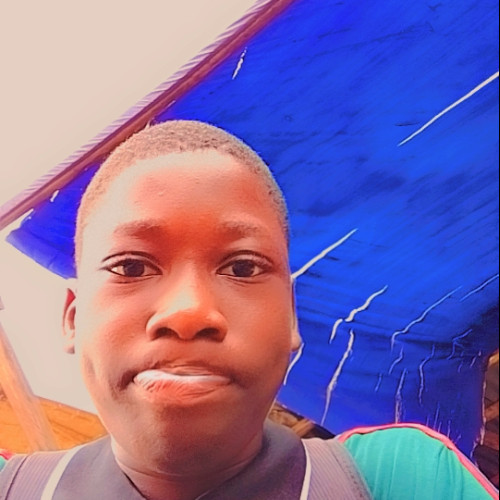 Inioluwa  S.