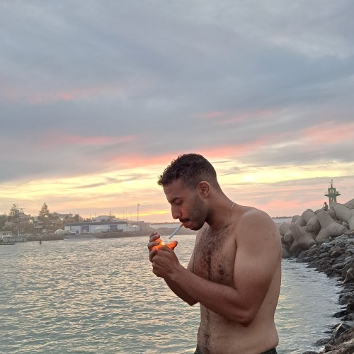 mohamed amine A. profile photo