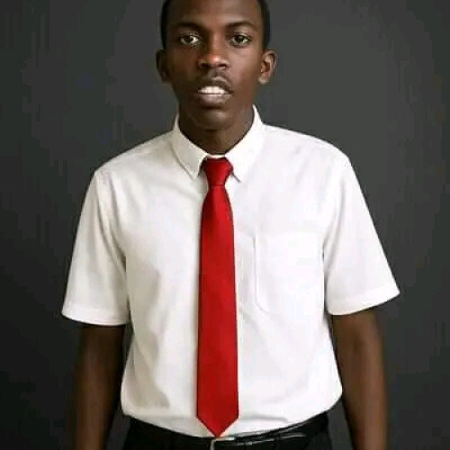 Hamza A. profile photo