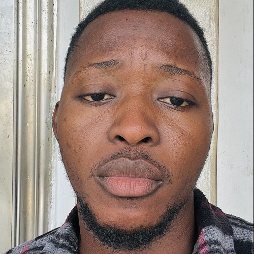 david t. profile photo