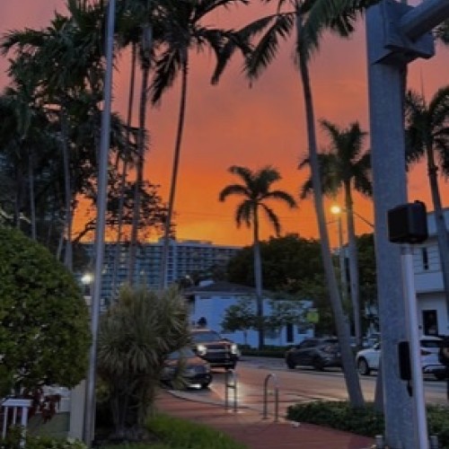 Reda W. profile photo