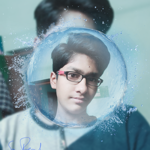 Dilip S.