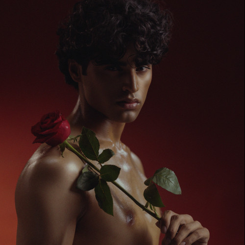 Usama M. profile photo