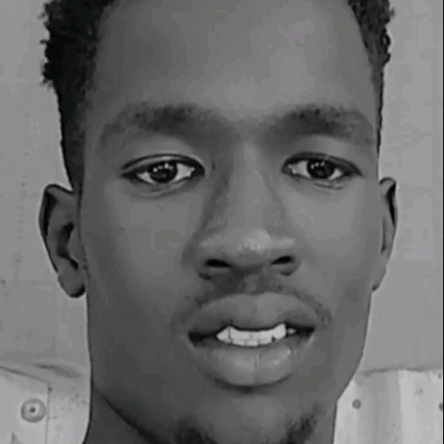 Bol  B. profile photo
