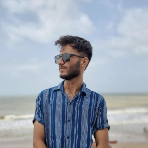 Ali zaib S.
