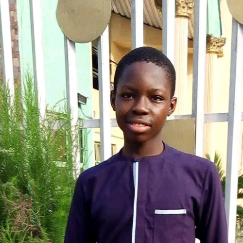 Ebubechukwu O. profile photo
