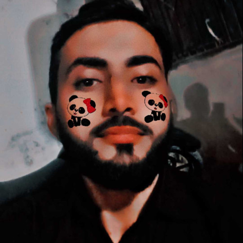 Haider A. profile photo