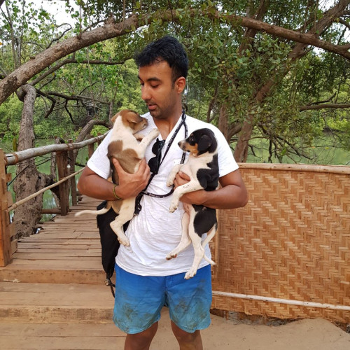 Gaurav D. profile photo
