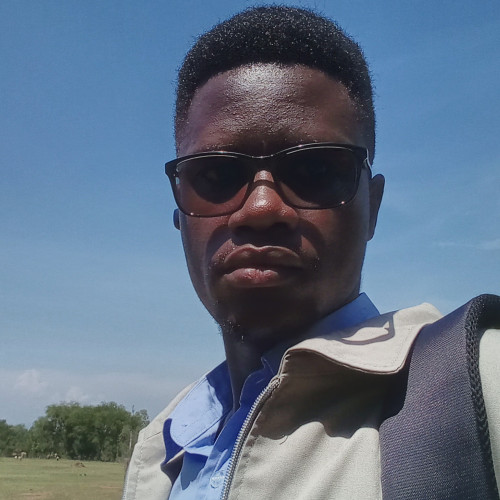 Isenja H. profile photo