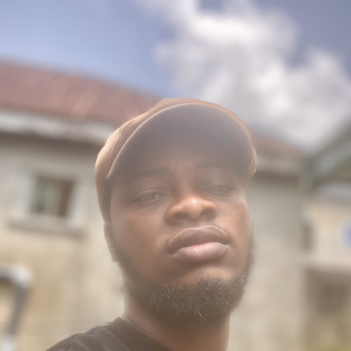 Austine  N. profile photo