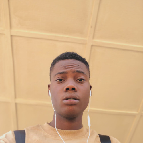 adeshina o.
