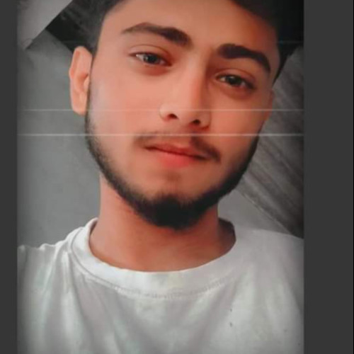 Masum S. profile photo