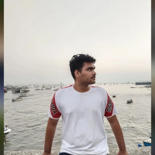 Sarthak  V. profile photo