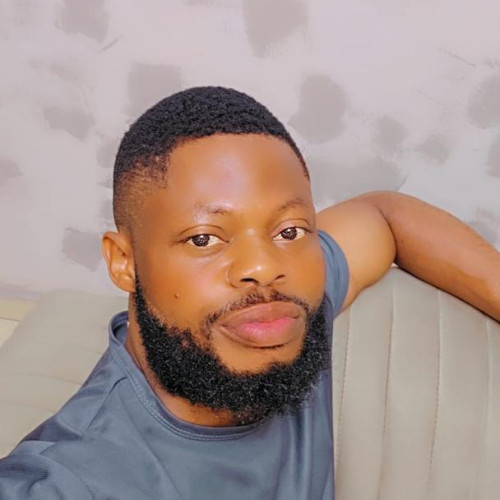 Ayegbusi O. profile photo