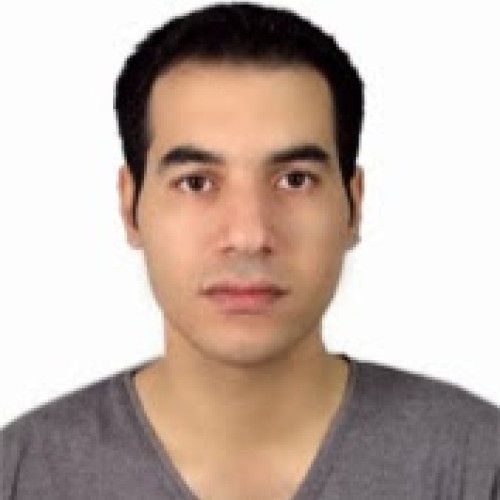 Hadi T. profile photo