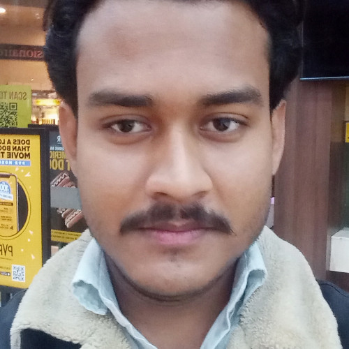 Ranjan K. profile photo