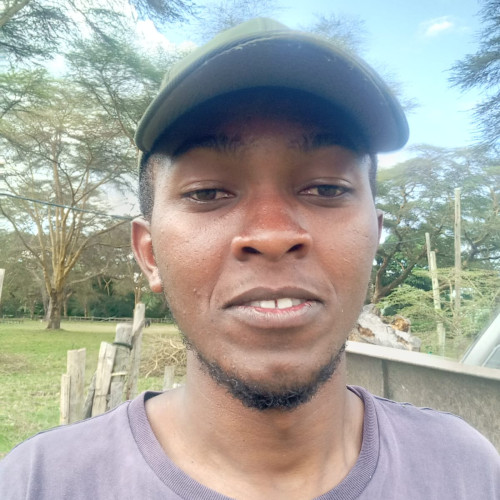 Simon M. profile photo