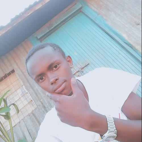 Newton K. profile photo