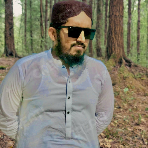 Ali A. profile photo