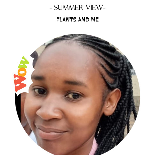 Cecilia N. profile photo