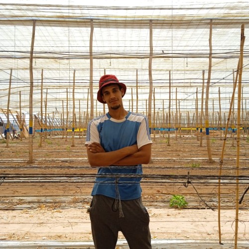 Mustapha  A. profile photo