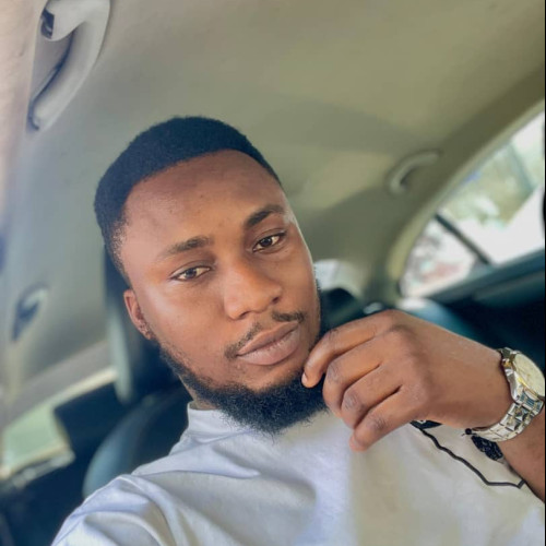 OLUWADARE  O. profile photo
