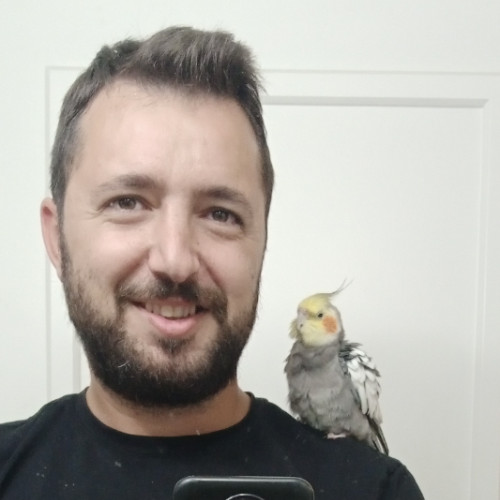 Roy N. profile photo