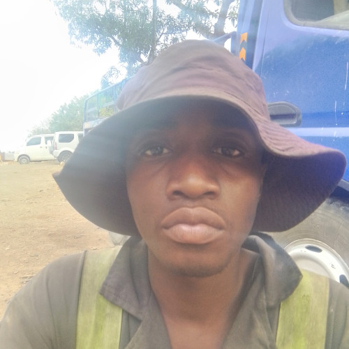 Morris Z. profile photo