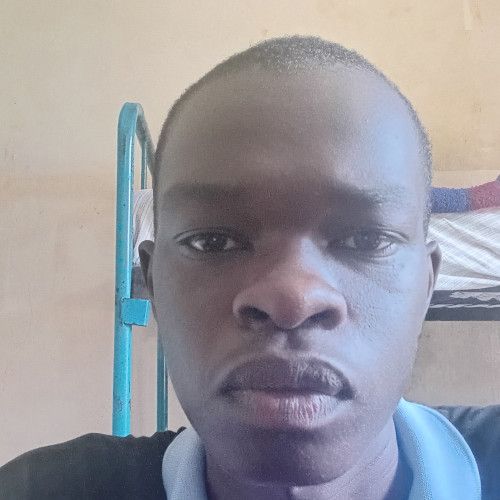 Daniel O. profile photo
